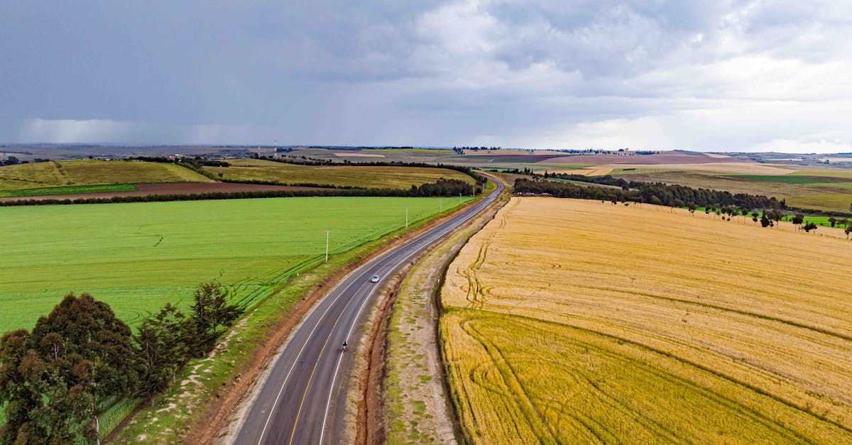 Advanced Techniques in Geodetic Surveying for Precise Measurements