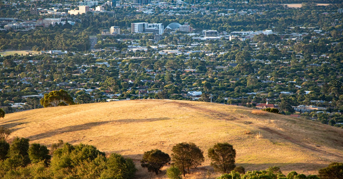 Cost-Effectiveness of Drone Surveys in Geelong