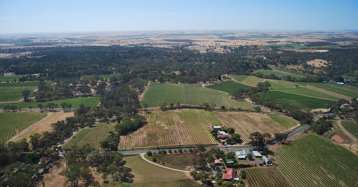 Essential Steps in Conducting a Subdivision Survey