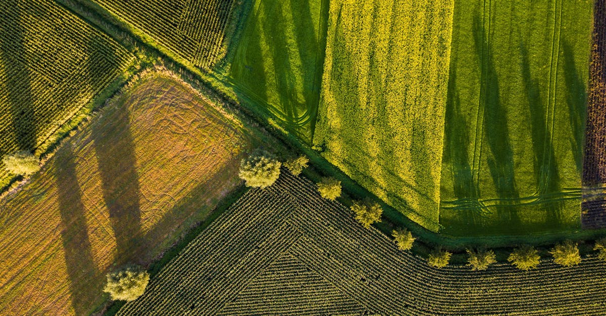 Future Innovations in GPS Applications for Land Surveyors