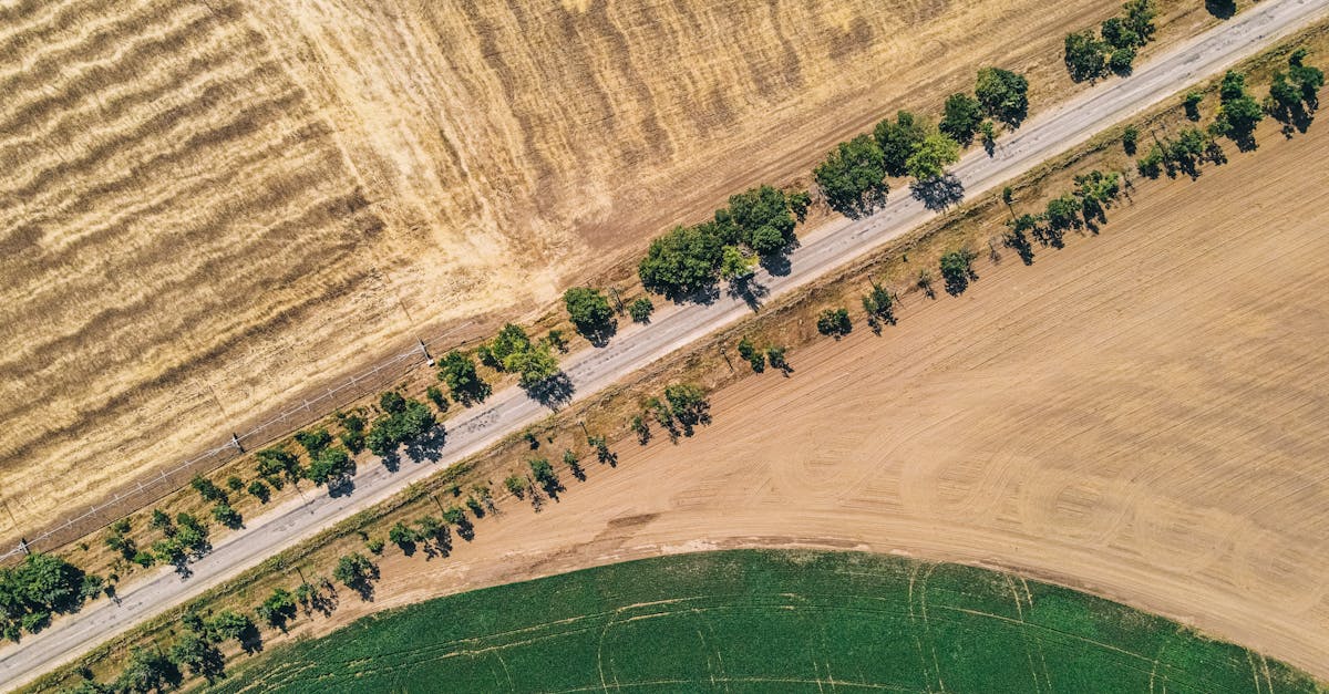 Future Innovations in Total Station Technology for Surveying