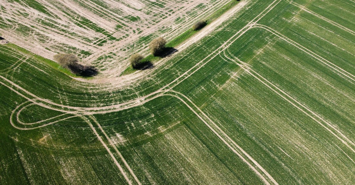 Insurance Requirements for Land Surveyors in Geelong