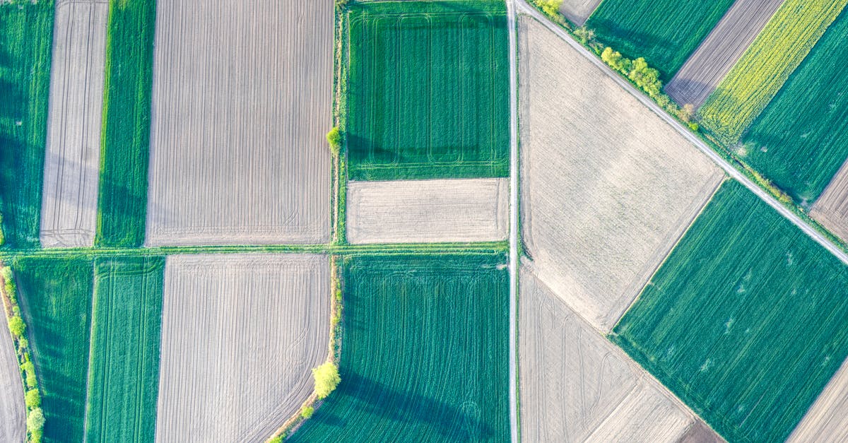 Integrating GIS with Survey Data Analysis Tools