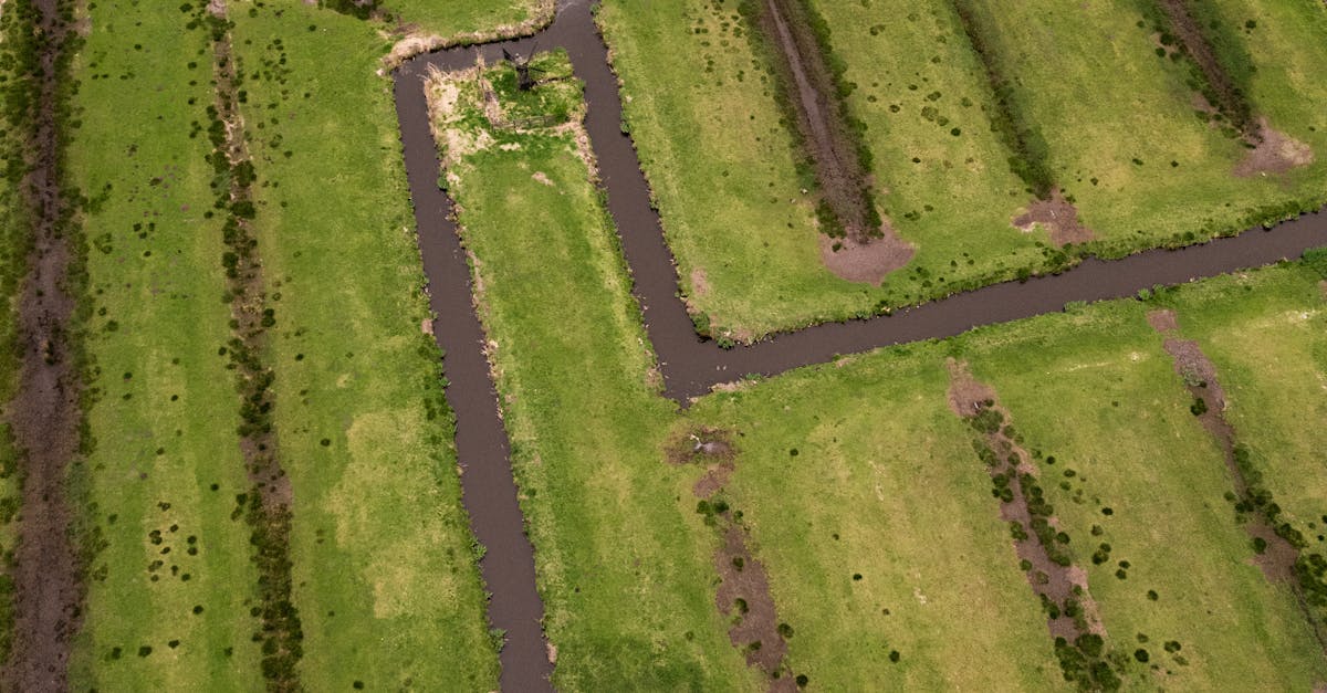 Integrating Total Stations with Survey Software for Enhanced Analysis