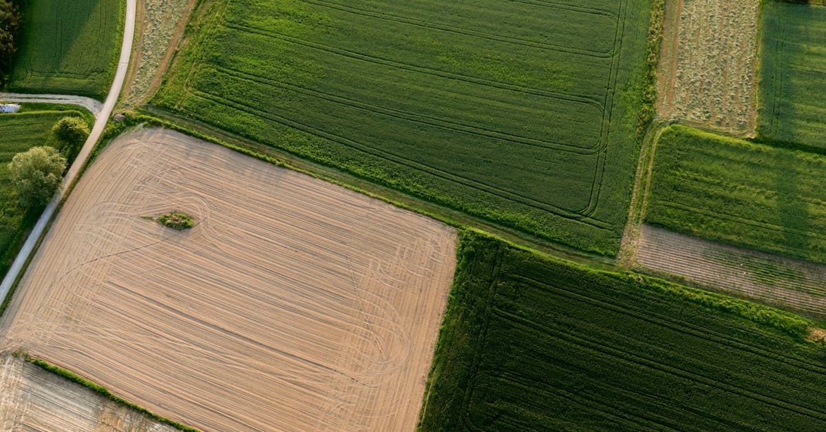 Navigating the Court System for Surveying Disagreements