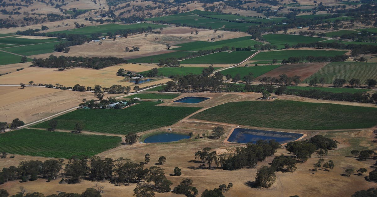 Recent Amendments to Land Surveying Laws in Australia