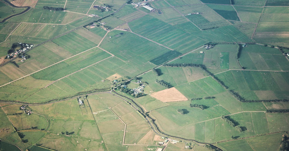 Resolving Neighbour Disputes Over Property Boundaries
