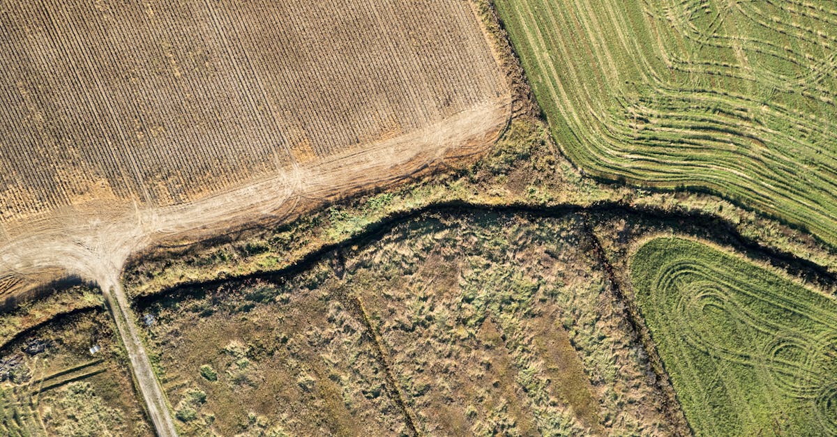 The Process of Obtaining a Land Title in Geelong