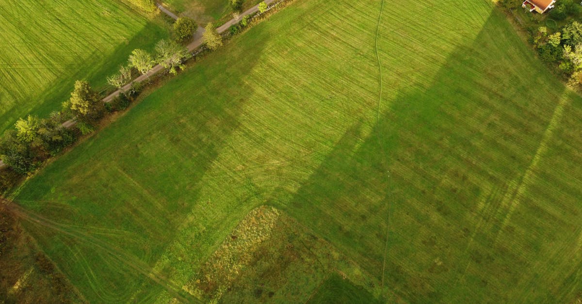 The Significance of Elevation Data in Construction Surveys