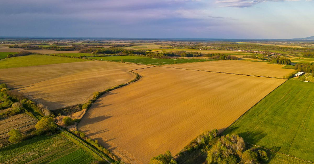 Training and Skills Required for Effective 3D Laser Scanning